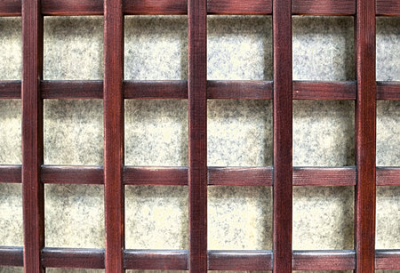 Japanese old house door