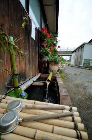 Japan's Secret Garden in biwa lake?の写真素材