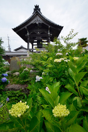 Japan's Secret Watergarden