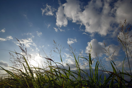 River park and sky of Osakaの写真素材