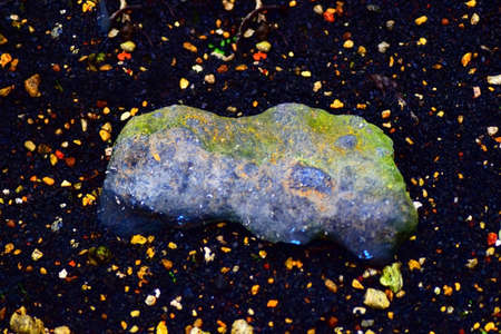 The stone which shinesの写真素材