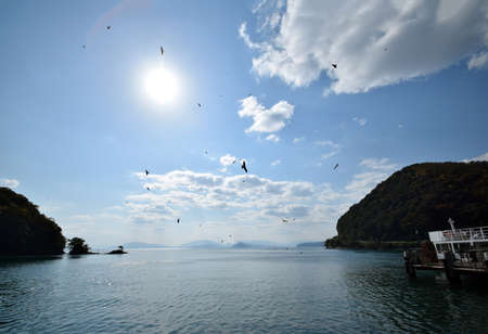 The black kite in kyt's sea.の写真素材