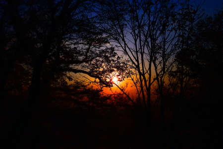 The sunrise of the mountains of Kyotoの写真素材