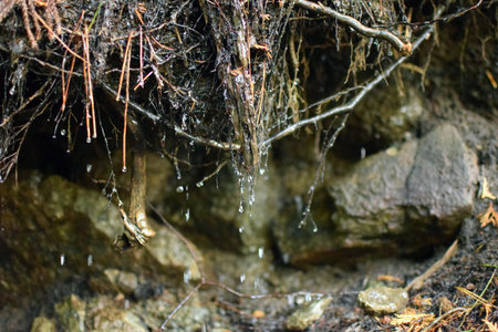 Drop of water of the mountain