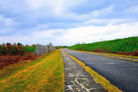 Japanese country way.の写真素材