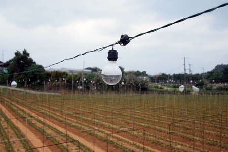 Field of the country of Japanの写真素材