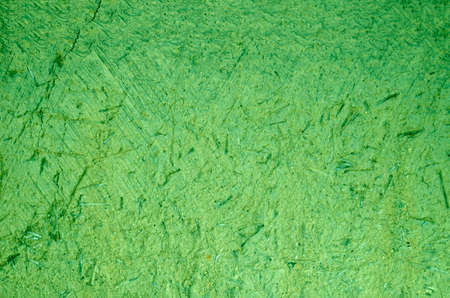 Japanese old house and green wall.の写真素材