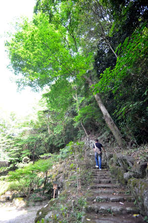 The man who walks the mountain path of the temple of Japanの写真素材