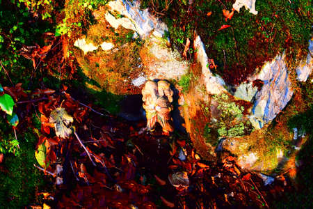 The god statue on the mountain in Kyotoの写真素材