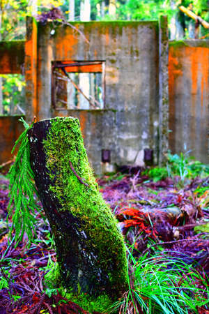 The decayed house of the mountain in Kyoto.の写真素材