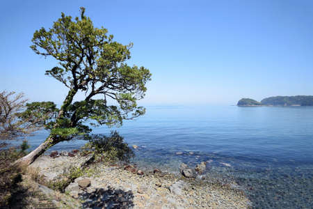 Coast of a rocky mountain in a desert island in Wakayama prefecture.の写真素材