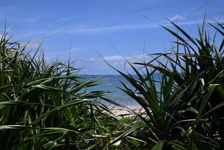 Beautiful sea in Okinawa Japan.の写真素材