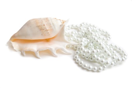 Cockleshell with pearlsの写真素材