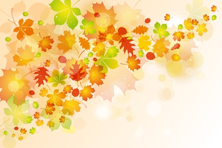 Autumn leaves backgroundのイラスト素材