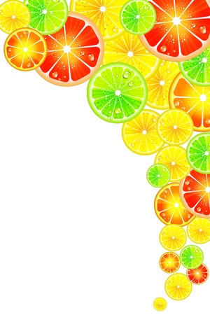 Citrus backgroundのイラスト素材