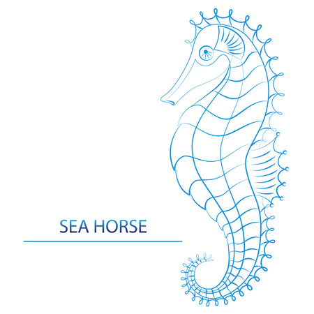 Logo - Blue Seahorse isolated on white background. Vector illustrationのイラスト素材