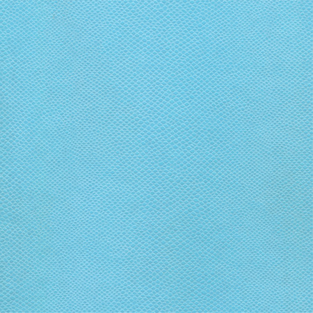 Vector paper skin texture templateのイラスト素材