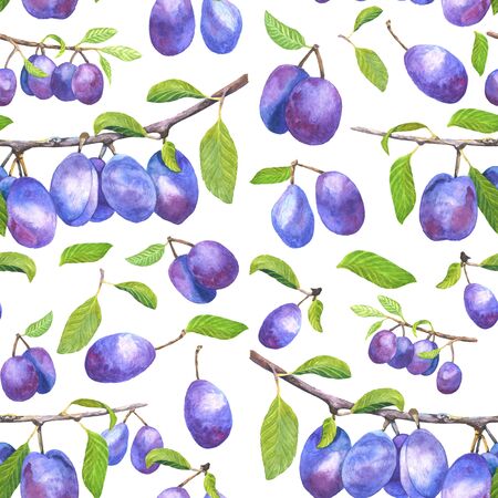 Watercolor hand drawn plum branch seamless background. Illustration for your designの写真素材