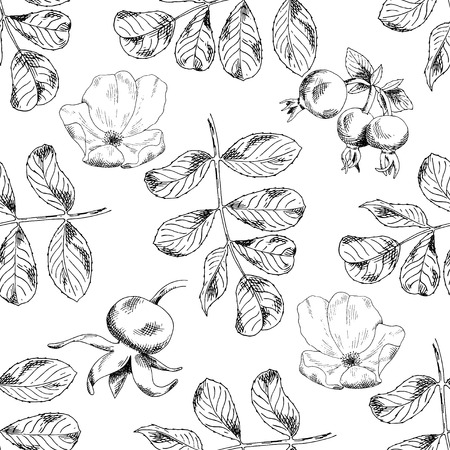Seamless sketch briar template background. Vector illustration for your designのイラスト素材