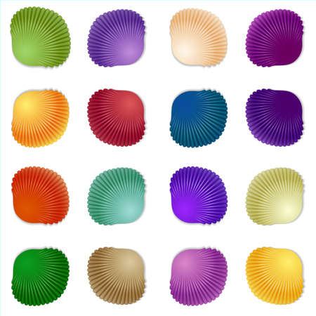 Seamless colorful seashell template background. Vector illustration for your designのイラスト素材