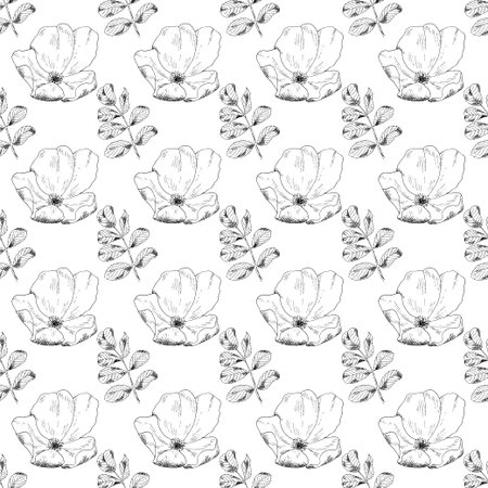 Seamless sketch briar template background. Vector illustration for your designのイラスト素材