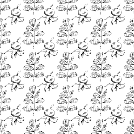 Seamless sketch briar template background. Vector illustration for your designのイラスト素材