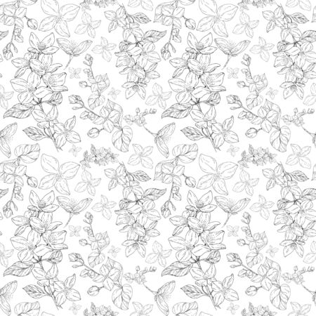 Plant in blossom, branch with flower ink sketch on seamless background. Vector illustration for your designのイラスト素材