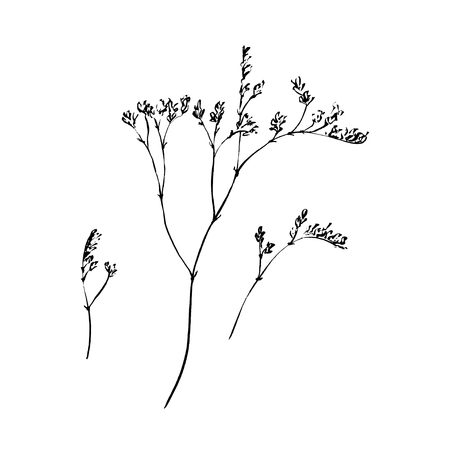 Flower ink sketch. Isolated on white backgroundのイラスト素材