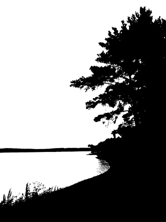 Black forest silhouette. Isolated on white background. Vector illustration for your designのイラスト素材