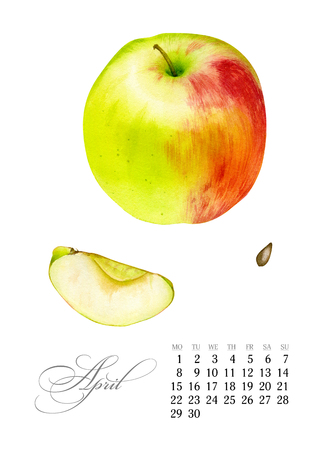 Elegant printable calendar 2019. April. Watercolor Apple. Botanical art. Template for a banner, notebook, cosmetics, perfume or invitationの写真素材