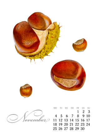 Elegant printable calendar 2019. November. Watercolor chestnuts. Botanical art. Template for a banner, notebook, cosmetics, perfume or invitationの写真素材