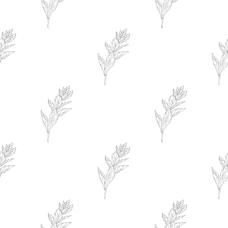 Seamless pattern. Plant in blossom, branch with flower ink sketch. Template for a business card, banner, poster, notebook, invitation, color book. Vector illustration for your designのイラスト素材