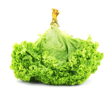 Green butter Lettuce isolated on white backgroundの写真素材