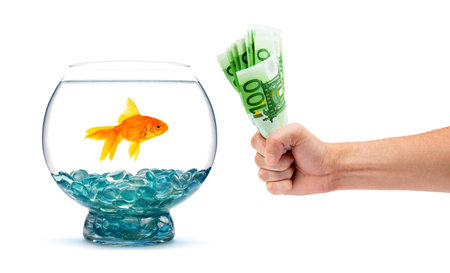 Goldfish in aquarium on a white backgroundの写真素材