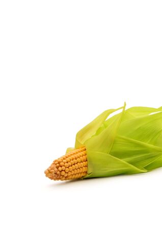  Corns on the cob isolated on whiteの写真素材