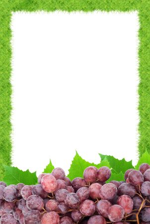 Bunch of fresh grapes isolated on whiteの写真素材