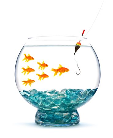Goldfish in aquarium on white backgroundの写真素材