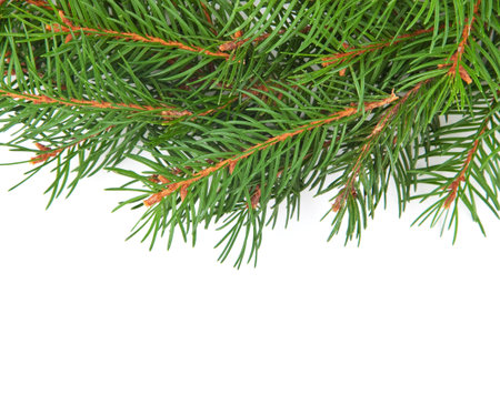Christmas green framework isolated on white background
