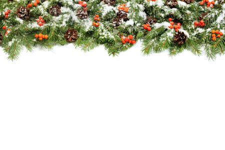 Christmas background with snow, cones and holly berry isolated on white
