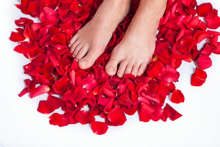Beautiful body and legs of woman against petals of red roses with flowerの写真素材