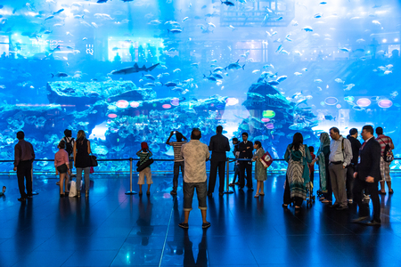 DUBAI, UAE - NOVEMBER 14: Aquarium in Dubai Mall - world's largest shopping mall , Downtown Burj Dubai November 14, 2012 in Dubai, United Arab Emiratesのeditorial素材
