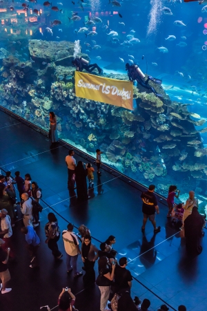 DUBAI, UAE - NOVEMBER 14: Aquarium in Dubai Mall - world's largest shopping mall , Downtown Burj Dubai November 14, 2012 in Dubai, United Arab Emiratesのeditorial素材