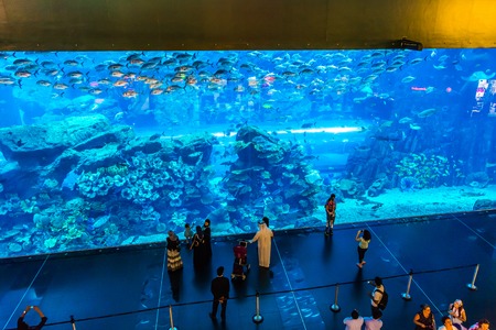 DUBAI, UAE - NOVEMBER 14: Aquarium in Dubai Mall - world's largest shopping mall , Downtown Burj Dubai November 14, 2013 in Dubai, United Arab Emiratesのeditorial素材