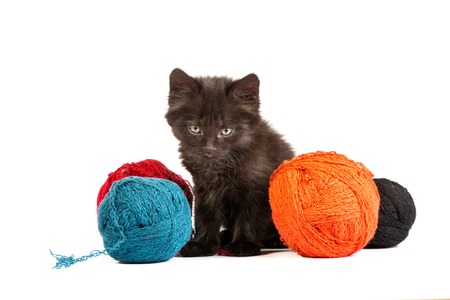 Black kitten playing with a red ball of yarn isolated on a white backgroundの写真素材