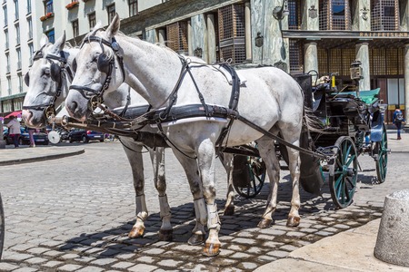 VIENNA, AUSTRIA - JULY 21: people have a ride in the fiaker and pass the Hofburg on July, 21,2013 in Vienna. The fiaker first was build in the 18 century in the street Rue de Saint Fiacre.のeditorial素材