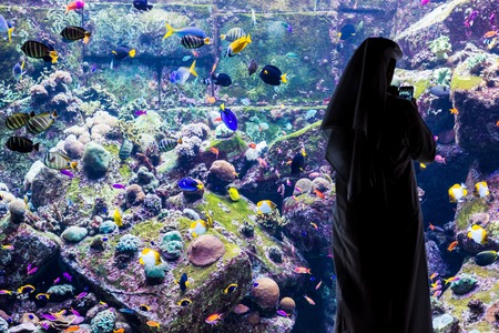 DUBAI, UAE - SEPTEMBER 30: Large aquarium in Hotel Atlantis (1,539 spacious guest rooms including 166 suites) on man-made island of Palm Jumeirah at September 30, 2012 in Dubai, United Arab Emirates.のeditorial素材