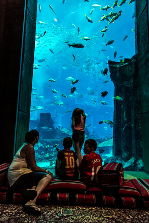 DUBAI, UAE - SEPTEMBER 30: Large aquarium in Hotel Atlantis (1,539 spacious guest rooms including 166 suites) on man-made island of Palm Jumeirah at September 30, 2012 in Dubai, United Arab Emirates.のeditorial素材