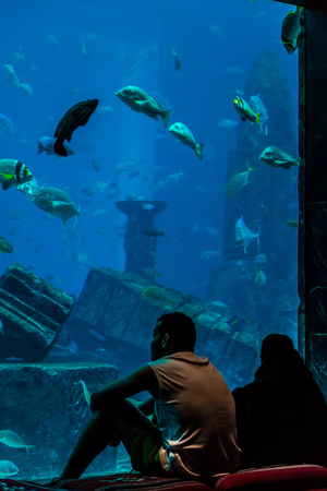 DUBAI, UAE - SEPTEMBER 30: Large aquarium in Hotel Atlantis (1,539 spacious guest rooms including 166 suites) on man-made island of Palm Jumeirah at September 30, 2012 in Dubai, United Arab Emirates.のeditorial素材