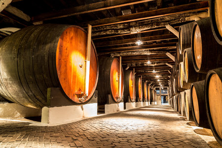 Barrels in the wine cellar in Porto in Portugal