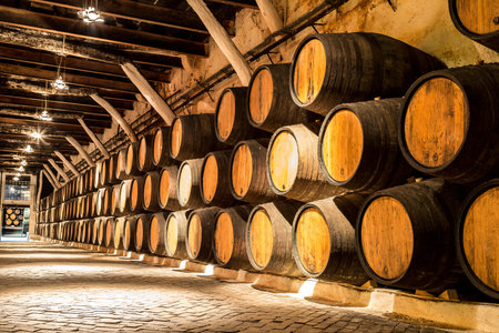 Barrels in the wine cellar in Porto in Portugal